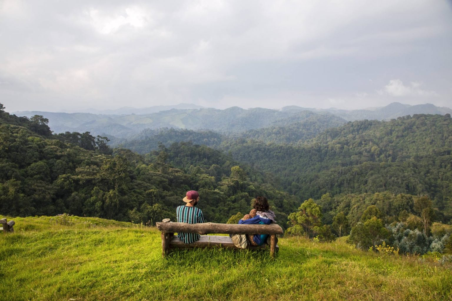 gishwati mukura national park