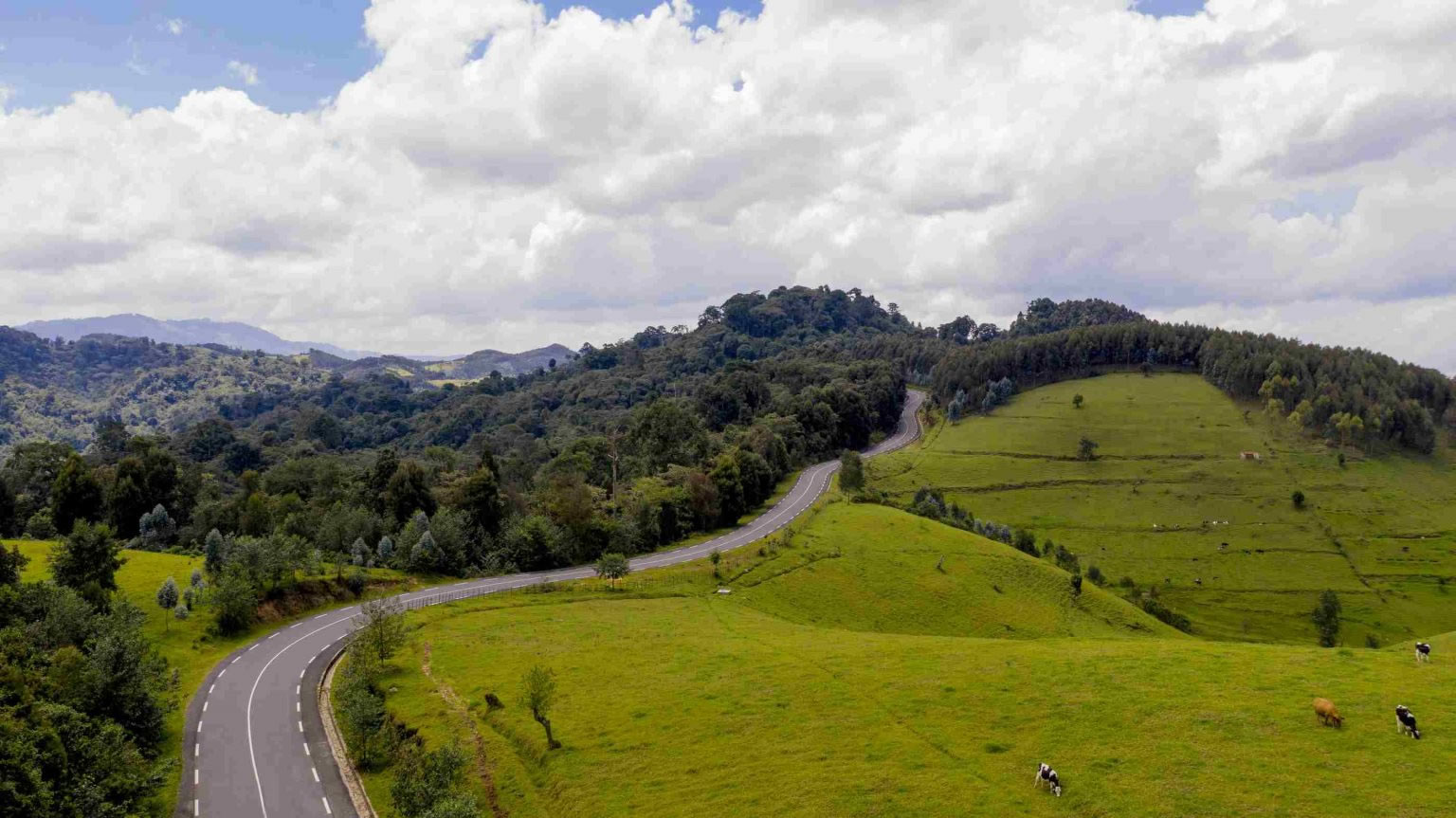 gishwati mukura national park