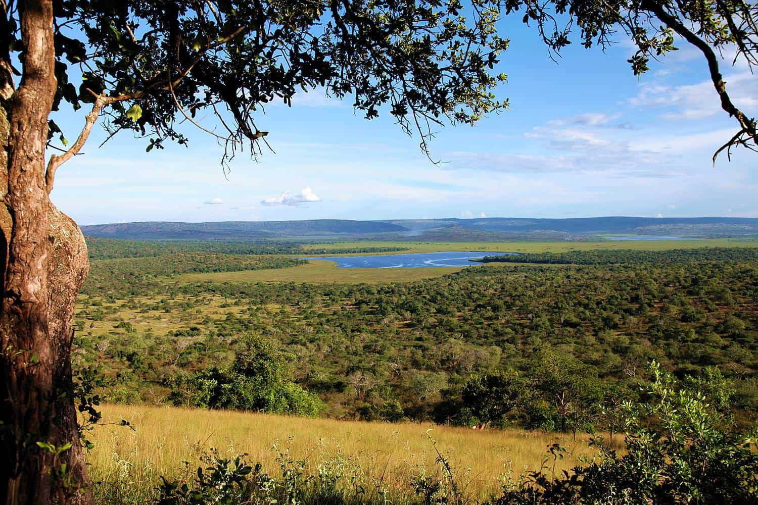 lake mburo national park