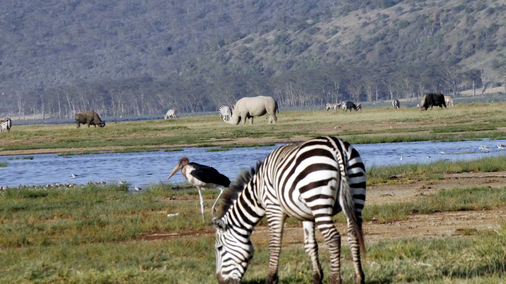 lake nakuru national park