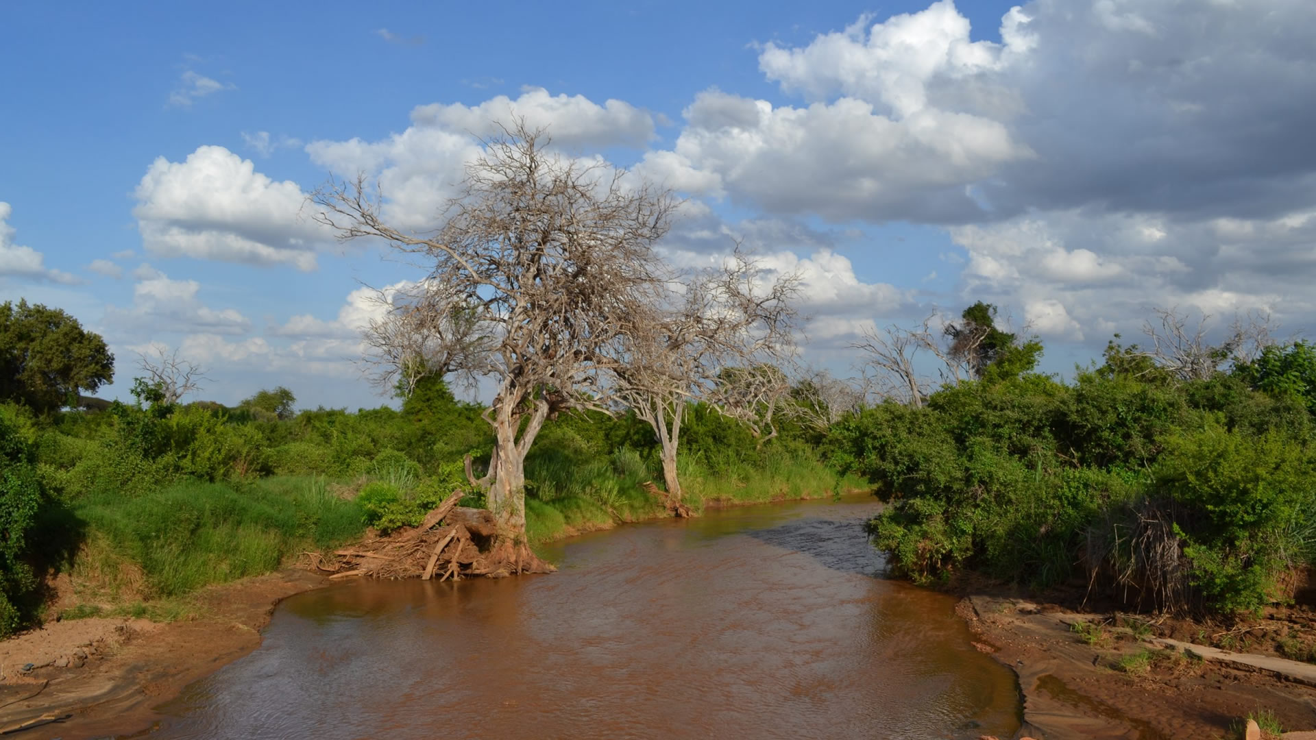 tsavo east national park