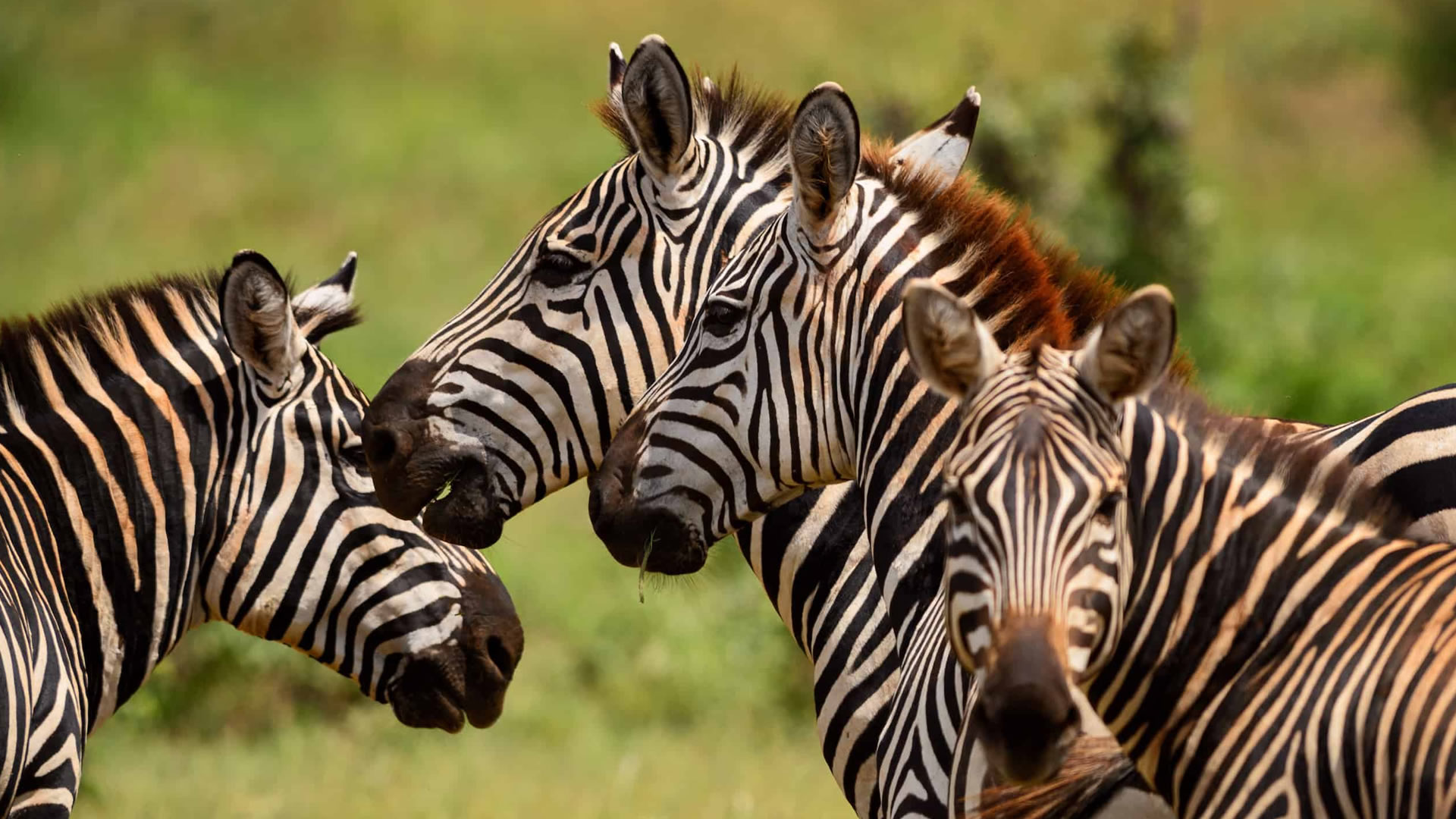 tsavo east national park