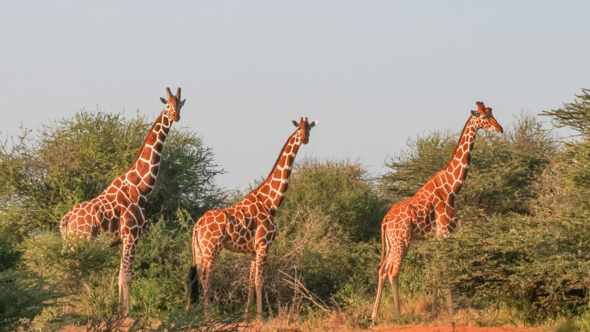 tsavo west national park