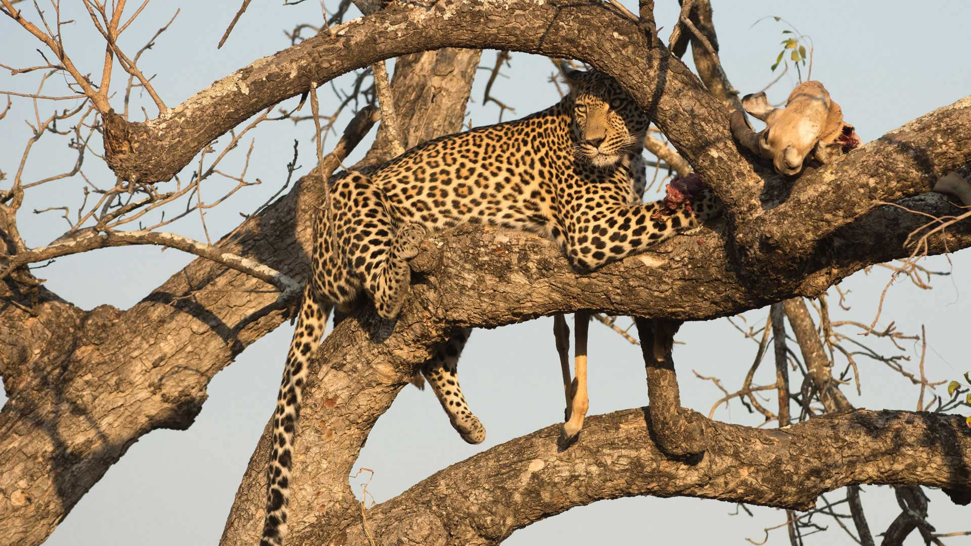 tsavo west national park