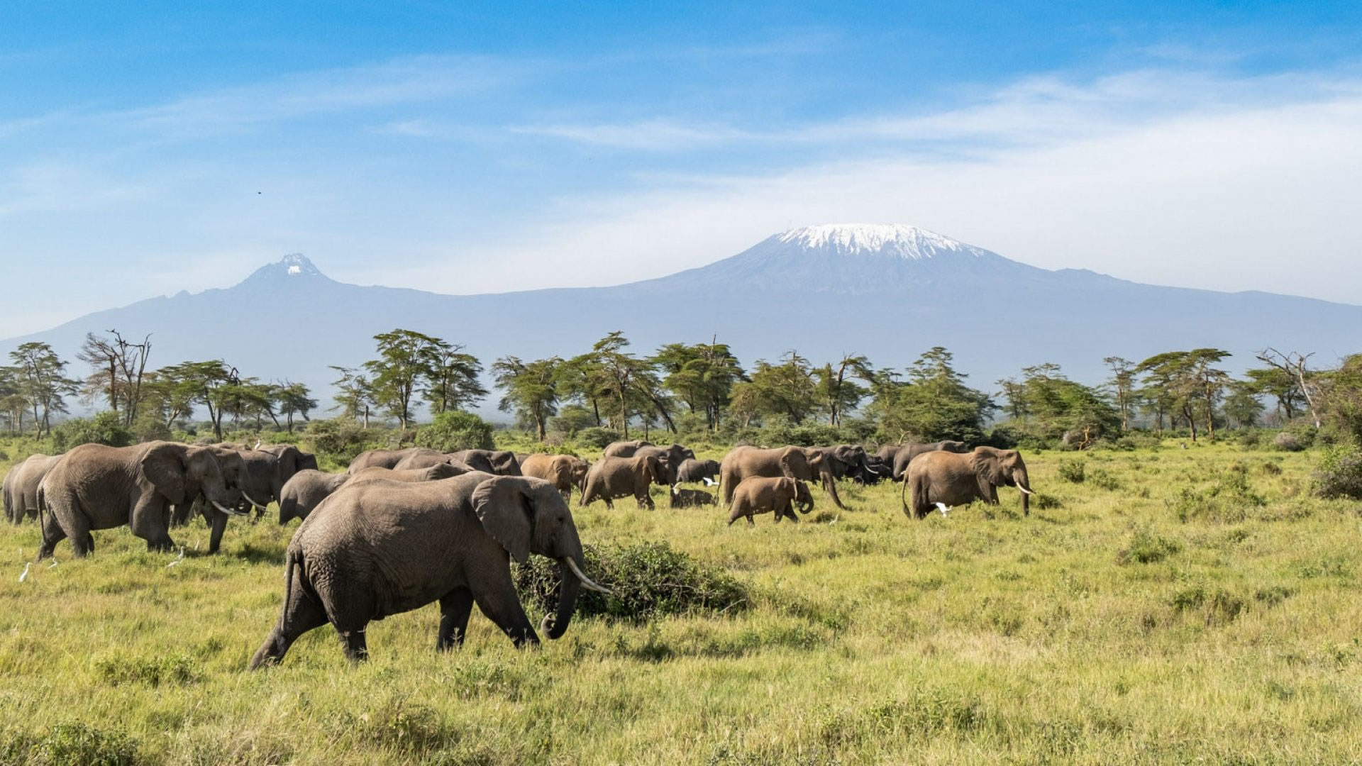 4 days amboseli fly package